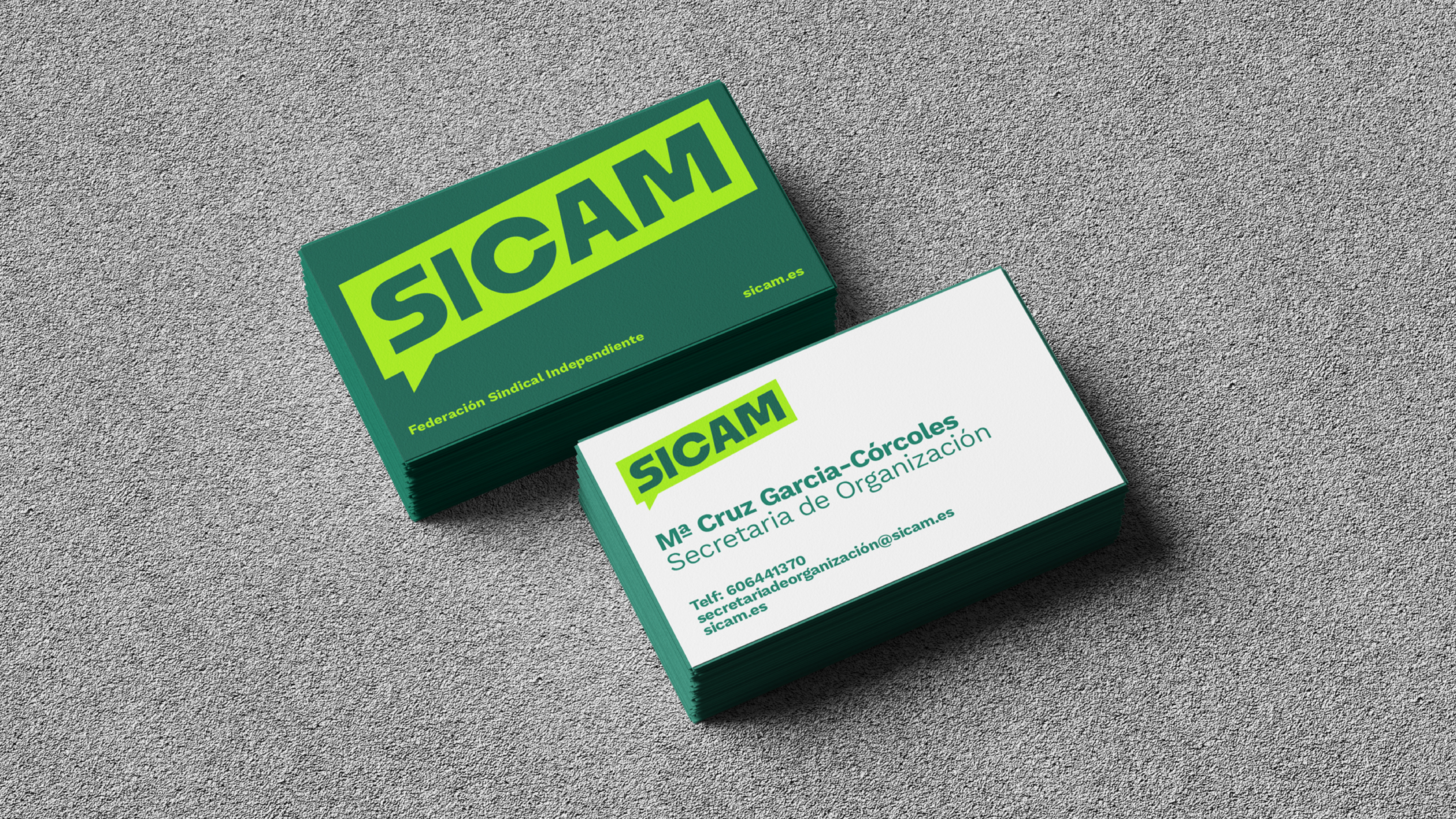 Proyecto SICAM